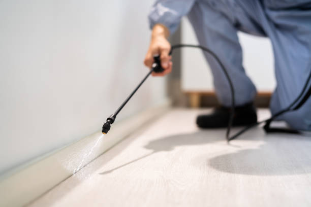Licensed Rodent Control service in Conroe, TX - Nex Pest Control