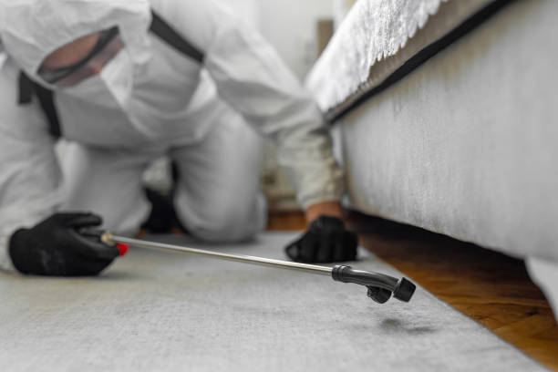 Professional Rodent Control technician working in Conroe, TX