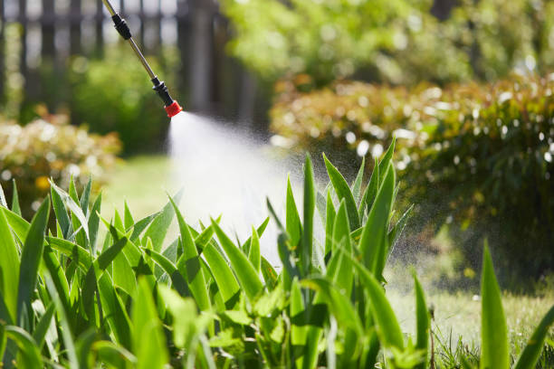 24/7 Emergency Rodent Control experts in Conroe, TX