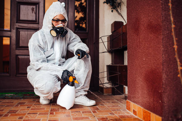 Reliable Rodent Control contractor in Conroe, TX by Nex Pest Control